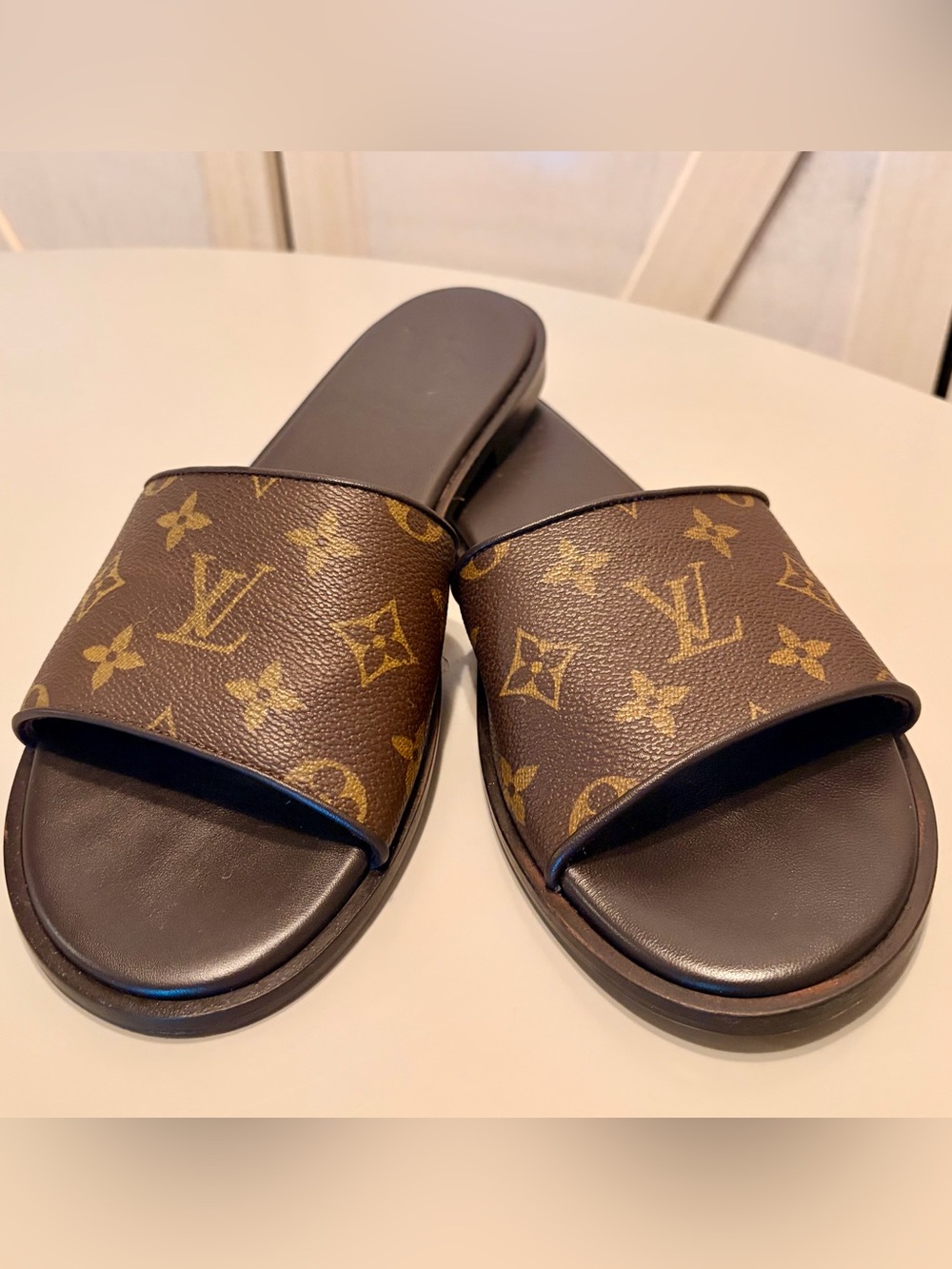 Vintage Boho Bags Louis Vuitton Monogram Slide Sandals